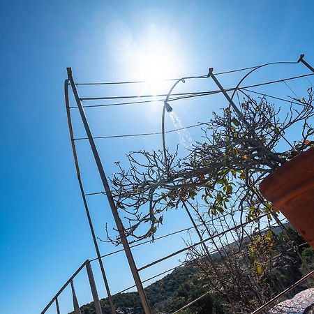 Sardinia Family Villas - Villa Nina With Private Pool Abbiadori Luaran gambar