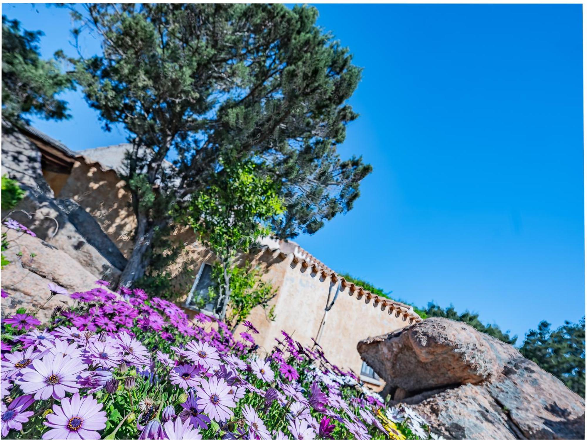 Sardinia Family Villas - Villa Nina With Private Pool Abbiadori Luaran gambar